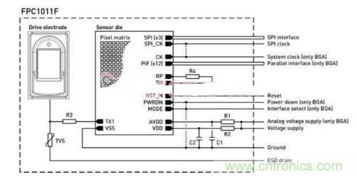 指紋識別新看點:大學生體育鍛煉管理系統設計