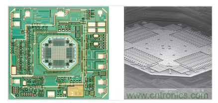  ADXL202 &plusmn;2 g加速度計。