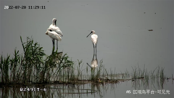 海康威視發(fā)布2022年ESG報(bào)告：科技為善，助力可持續(xù)的美好未來(lái)